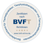 logo bvft